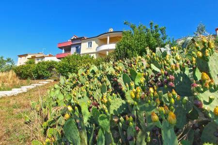 Villa Lucija Pula Bagian luar foto